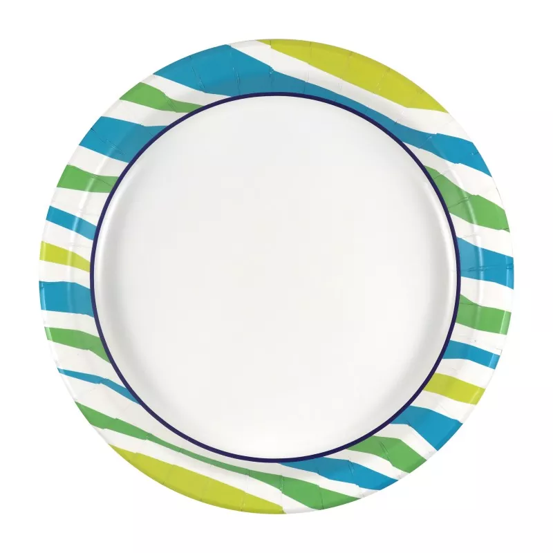 Safe Disposable Paper Plates